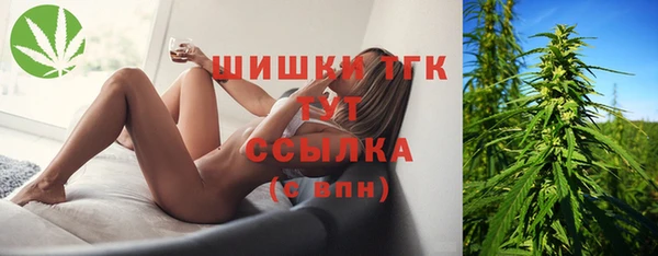 индика Алексеевка
