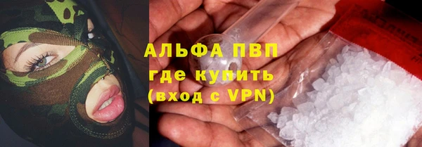 индика Алексеевка