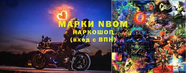 индика Алексеевка