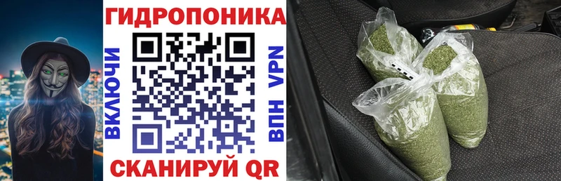 Бошки Шишки планчик  hydra как зайти  Конаково 